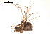  ( - BIOUG00174-F07)  @12 [ ] Copyright  G. Blagoev 2010 Unspecified