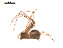  ( - BIOUG00174-F08)  @12 [ ] Copyright  G. Blagoev 2010 Unspecified
