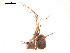  ( - BIOUG00174-F10)  @12 [ ] Copyright  G. Blagoev 2010 Unspecified