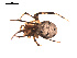  ( - BIOUG00174-G06)  @13 [ ] Copyright  G. Blagoev 2010 Unspecified