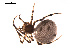  ( - BIOUG00176-B08)  @13 [ ] Copyright  G. Blagoev 2010 Unspecified