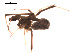  ( - BIOUG00176-D01)  @12 [ ] Copyright  G. Blagoev 2010 Unspecified