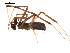  ( - BIOUG00176-D04)  @12 [ ] Copyright  G. Blagoev 2010 Unspecified