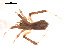  ( - BIOUG00176-D06)  @13 [ ] Copyright  G. Blagoev 2010 Unspecified