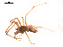  ( - BIOUG00176-D09)  @12 [ ] Copyright  G. Blagoev 2010 Unspecified