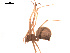  ( - BIOUG00176-D10)  @12 [ ] Copyright  G. Blagoev 2010 Unspecified