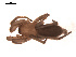  ( - BIOUG00176-E07)  @12 [ ] Copyright  G. Blagoev 2010 Unspecified