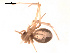  ( - BIOUG00176-F01)  @12 [ ] Copyright  G. Blagoev 2010 Unspecified