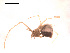  ( - BIOUG00176-F02)  @12 [ ] Copyright  G. Blagoev 2010 Unspecified