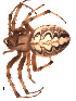  ( - BIOUG00177-H03)  @13 [ ] Copyright  G. Blagoev 2010 Unspecified