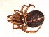  ( - BIOUG00199-B03)  @13 [ ] Copyright  G. Blagoev 2010 Unspecified