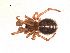  ( - BIOUG00199-B05)  @13 [ ] Copyright  G. Blagoev 2010 Unspecified