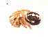  ( - BIOUG00199-B06)  @12 [ ] Copyright  G. Blagoev 2010 Unspecified