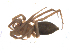  ( - BIOUG00525-B04)  @12 [ ] Copyright  G. Blagoev 2010 Unspecified
