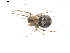  ( - BIOUG00526-D06)  @12 [ ] Copyright  G. Blagoev 2010 Unspecified