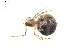 ( - BIOUG00526-D08)  @12 [ ] Copyright  G. Blagoev 2010 Unspecified