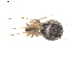  ( - BIOUG00526-D10)  @12 [ ] Copyright  G. Blagoev 2010 Unspecified