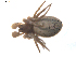 ( - BIOUG00526-E01)  @12 [ ] Copyright  G. Blagoev 2010 Unspecified