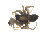  ( - BIOUG00526-G06)  @12 [ ] Copyright  G. Blagoev 2010 Unspecified