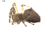  ( - BIOUG00527-C08)  @12 [ ] Copyright  G. Blagoev 2010 Unspecified