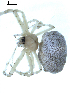  ( - BIOUG00527-E07)  @12 [ ] Copyright  G. Blagoev 2010 Unspecified