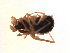  ( - BIOUG00606-A05)  @12 [ ] Copyright  G. Blagoev 2010 Unspecified