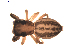  ( - BIOUG00609-A05)  @11 [ ] Copyright  G. Blagoev 2010 Unspecified