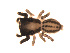  ( - BIOUG00609-D05)  @12 [ ] Copyright  G. Blagoev 2010 Unspecified