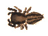  ( - BIOUG00609-D06)  @12 [ ] Copyright  G. Blagoev 2010 Unspecified