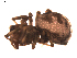 ( - BIOUG00608-F12)  @12 [ ] Copyright  G. Blagoev 2010 Unspecified