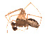  ( - BIOUG00609-G08)  @13 [ ] Copyright  G. Blagoev 2010 Unspecified