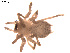  ( - BIOUG00611-C01)  @12 [ ] Copyright  G. Blagoev 2010 Unspecified
