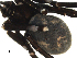  ( - CCDB-08490-D05)  @12 [ ] Copyright  G. Blagoev 2010 Unspecified