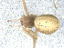  ( - CCDB-08491-H03)  @12 [ ] CreativeCommons - Attribution (2010) Gergin Blagoev, Centre for Biodiversity Genomics Centre for Biodiversity Genomics
