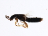 ( - PROBE-TW0483)  @12 [ ] CreativeCommons - Attribution (2009) Unspecified Centre for Biodiversity Genomics