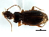  ( - 09PROBE-CV129)  @13 [ ] CreativeCommons - Attribution (2010) CBG Photography Group Centre for Biodiversity Genomics
