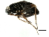  ( - 09CHUCOL-CV181)  @11 [ ] CreativeCommons - Attribution (2010) CBG Photography Group Centre for Biodiversity Genomics
