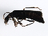  ( - MTCOL-0031)  @12 [ ] CreativeCommons - Attribution (2009) Unspecified Centre for Biodiversity Genomics