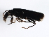  ( - MTCOL-0032)  @12 [ ] CreativeCommons - Attribution (2009) Unspecified Centre for Biodiversity Genomics