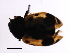  ( - 06PROBE-1191)  @12 [ ] CreativeCommons - Attribution (2009) Unspecified Centre for Biodiversity Genomics