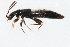  ( - TWCOL-2073)  @13 [ ] CreativeCommons - Attribution (2010) CBG Photography Group Centre for Biodiversity Genomics