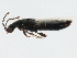 ( - TWCOL-2075)  @13 [ ] CreativeCommons - Attribution (2010) CBG Photography Group Centre for Biodiversity Genomics