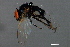  ( - PROBE-TW0008)  @13 [ ] CreativeCommons - Attribution (2009) Unspecified Centre for Biodiversity Genomics