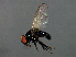  ( - PROBE-TW0009)  @13 [ ] CreativeCommons - Attribution (2009) Unspecified Centre for Biodiversity Genomics