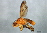 ( - PROBE-TW0040)  @13 [ ] CreativeCommons - Attribution (2009) Unspecified Centre for Biodiversity Genomics