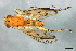 ( - PROBE-TW0041)  @13 [ ] CreativeCommons - Attribution (2009) Unspecified Centre for Biodiversity Genomics
