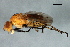  ( - PROBE-TW0044)  @14 [ ] CreativeCommons - Attribution (2009) Unspecified Centre for Biodiversity Genomics