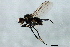  ( - PROBE-TW0064)  @13 [ ] CreativeCommons - Attribution (2009) Unspecified Centre for Biodiversity Genomics