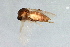  ( - PROBE-TW0079)  @12 [ ] CreativeCommons - Attribution (2009) Unspecified Centre for Biodiversity Genomics