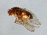  ( - PROBE-TW0084)  @13 [ ] CreativeCommons - Attribution (2009) Unspecified Centre for Biodiversity Genomics